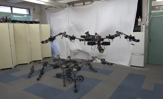 Multi-Modal Locomotion